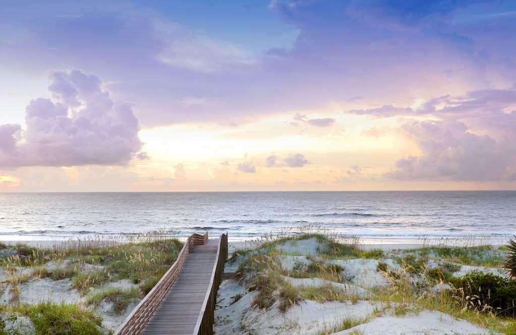 Jekyll Ocean Club Resort Jekyll Island Naturaleza foto